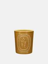 Diptyque Ambre Large Candle 600 g - | Spazio Pritelli