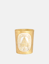 Diptyque Sapin Scented Candle 190 gr - | Spazio Pritelli