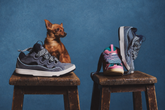 Lanvin sneakers collection – Spazio Pritelli