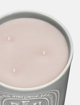 Feu de Bois Large Candle by Diptyque - | Spazio Pritelli