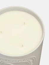 34 Boulevard Saint Germain Large Candle by Diptyque -  | Spazio Pritelli
