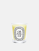 Candela Piccola Oranger di Diptyque -  | Spazio Pritelli