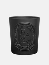 Baies Large Candle by Diptyque -  | Spazio Pritelli