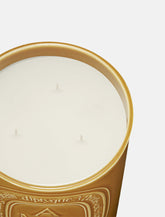 Diptyque Ambre Large Candle 600 g -  | Spazio Pritelli