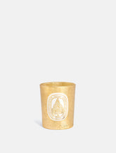 Diptyque Sapin Scented Candle 70 gr -  | Spazio Pritelli